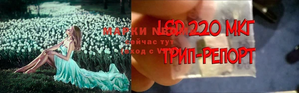 прущий лед Куртамыш