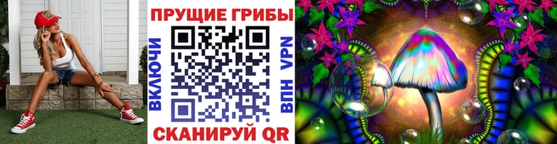 Псилоцибиновые грибы Psilocybe  Пущино 